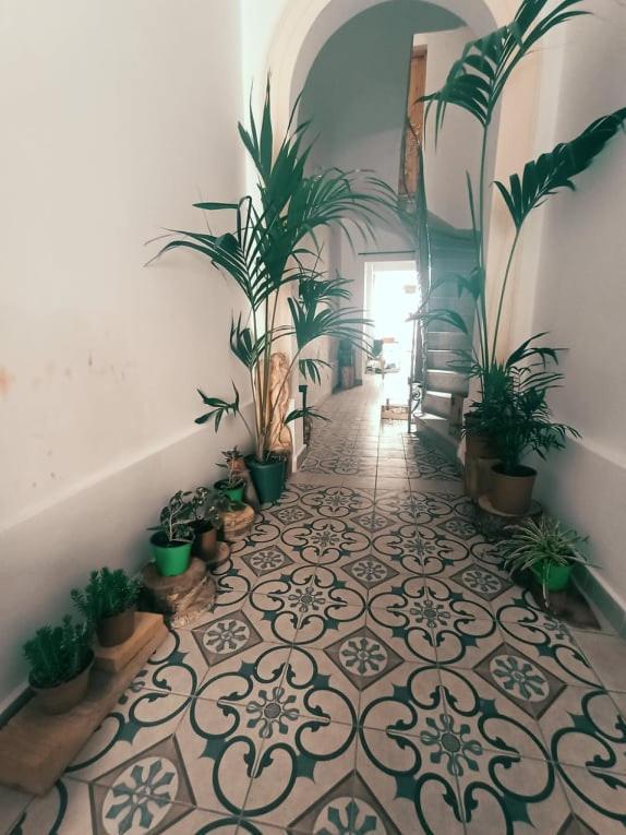 Dhara House Malta Bed and Breakfast Paola Εξωτερικό φωτογραφία